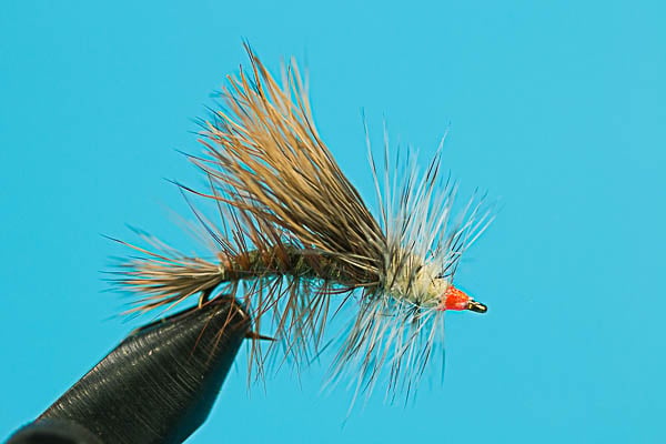 Stimulator