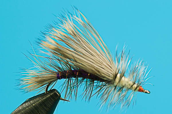 Stimulator