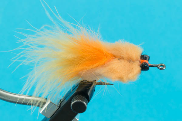 Tarpon Toad