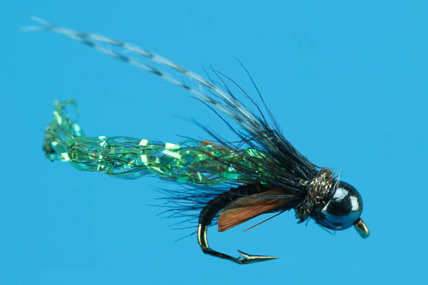 TNT Caddis - Beadhead
