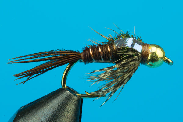 Flashback Soft Hackle Pheasant Tail Tungsten — Big Y Fly Co