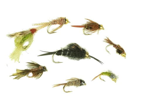Western Nymph Assortment--48 Flies #58 — Big Y Fly Co