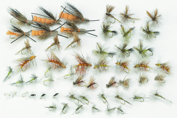 Western Dry Fly Assortment--54 Flies #57